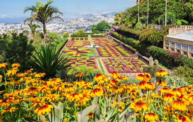 Meilleure saison à Madère