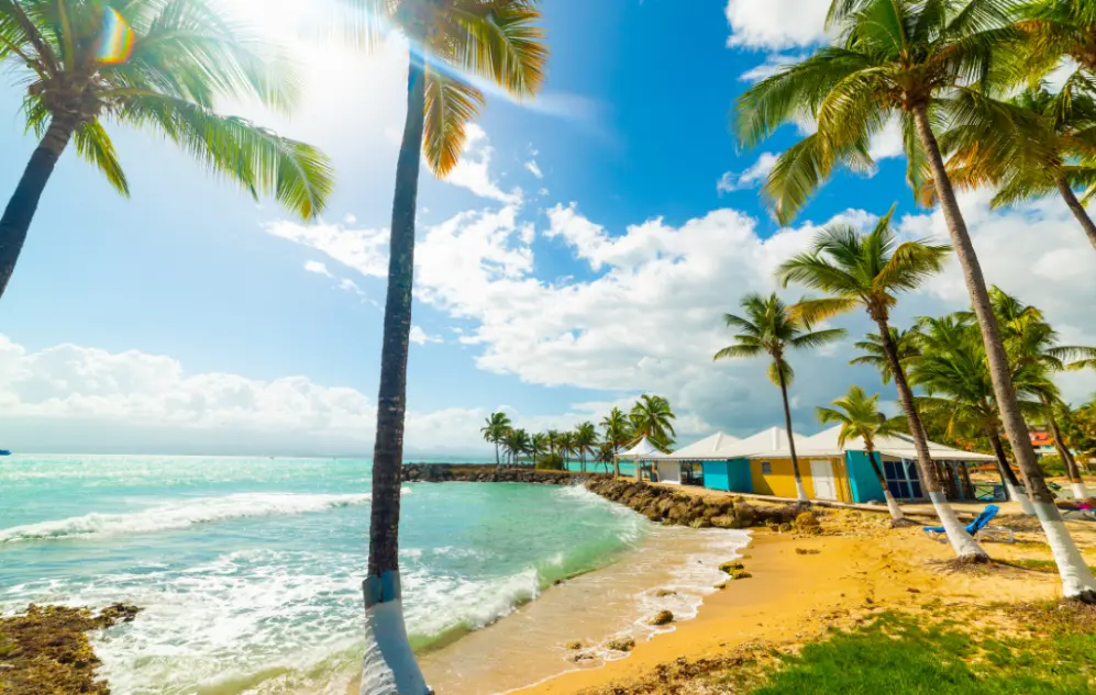 Plage de Guadeloupe en janvier