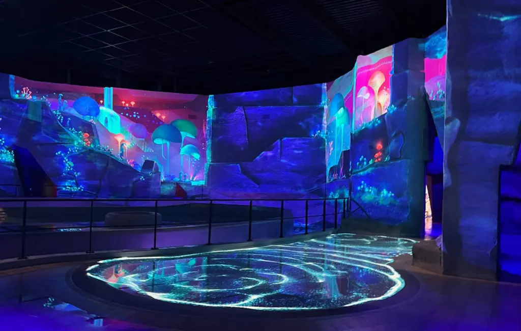 Projection a l'Aquascope au Futuroscope