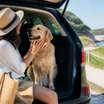 Voyager avec un chien